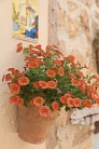 H&auml;ngegarten
