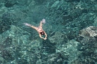 Klares Wasser